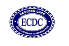 ECDC- Risk Capital